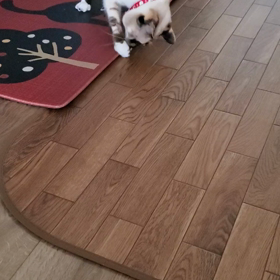 鈴で遊ぶ猫の画像