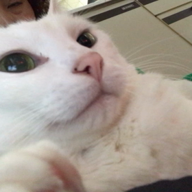 ずーっと一緒の画像