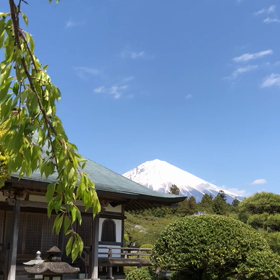 大石寺 新緑と富士山のコラボ（動画編）の画像