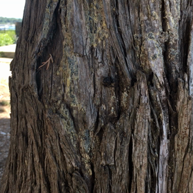 出られないのです。の画像