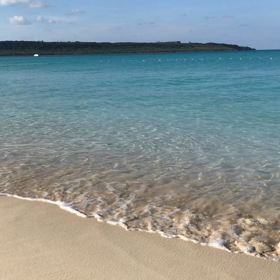 ただただの画像