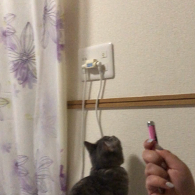 たたかい①の画像