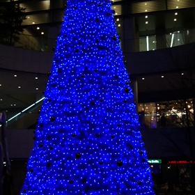 やっと見納め。かしら。 。の画像