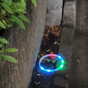 こんなところに忘れ物をしたのはどなたですか？ ②の画像