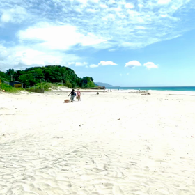 伊豆白浜海岸、ビーチクリーン✨の画像