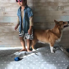 ファッションリーダーの画像