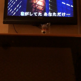 探してたの画像