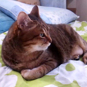 寝る前の事件の画像