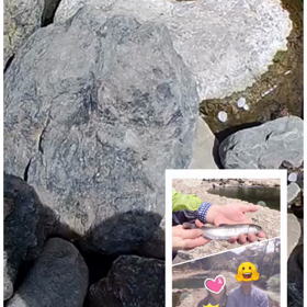 ニジマス釣りの画像