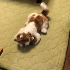 はじめてのおやつは…の画像