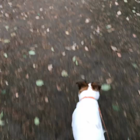 いつ…気付く…かな…？？？の画像