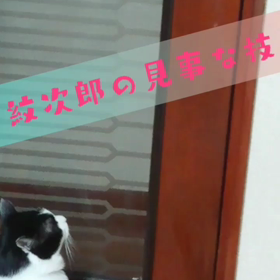 自分で開ける！の画像