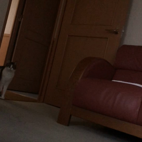 日米の医療保険について…改めて思う。最近の起こしかた…デール。の画像