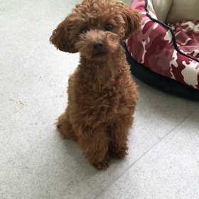 ♪プレイルーム動画♪①の画像