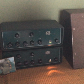動画撮ってみましたの画像
