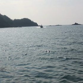 ママ  昼で  帰るわ！の画像