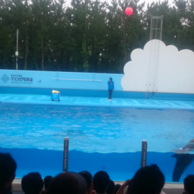 こっちもの画像