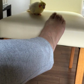 楽しそ⁈の画像