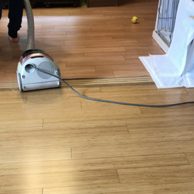 毎日来る子の画像