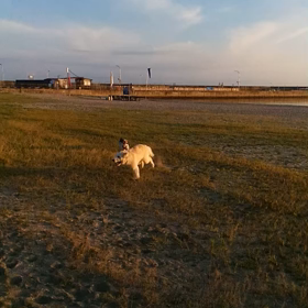 追いかけられる⁉️の画像