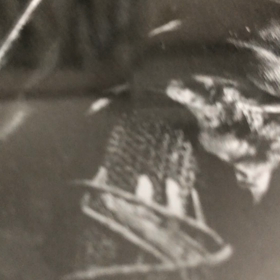 フロム新作♬の画像