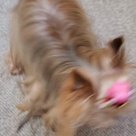 元気だなの画像