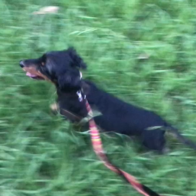 ♪お散歩動画♪砧公園♪の画像