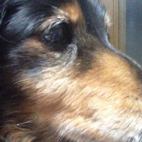 酔生夢死の画像