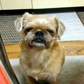 ぼっちくんとルンルンからの画像