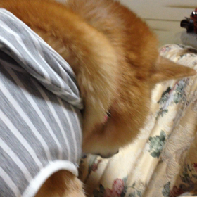 これは・・・・の画像