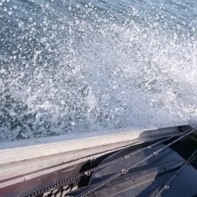 動画撮ってみたの画像