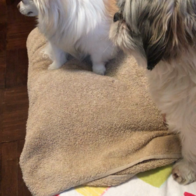 地獄のガールフレンド　全話の画像