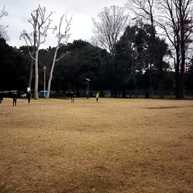 ジャベリックボール投げ ①の画像