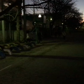 川越小 走り幅跳び練習(照明有り)③の画像