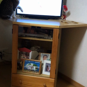 メリークリスマスイブなんて知らないにゃ！の画像