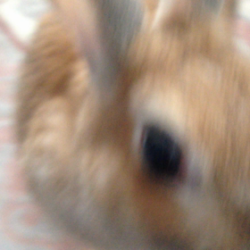 実家にて1の画像