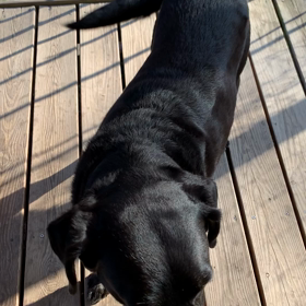 FEC治療2-4日目。。ダル重。。の画像