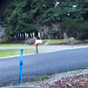 買う決め手になったものの画像