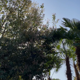 ☆イマソラ☆の画像