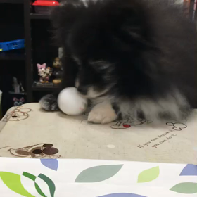 1番のお気に入りの画像