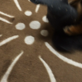 雨の日は。。。の画像