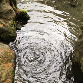 早く暖かくならないかなぁ…今日もまだまだ寒いっの画像