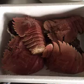 実家にえげつないものが届いた模様の画像