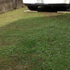 テンションMAX‼️の画像