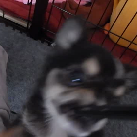 ヒモが好き！の画像