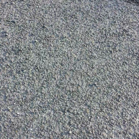 リリとお母さんのミニ散歩♪の画像