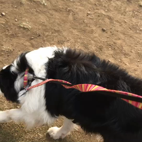 ♪60分遠足♪代々木公園♪の画像