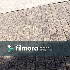 2020年3月4日の画像