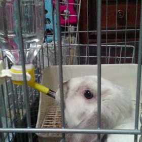 動画とってみた5の画像