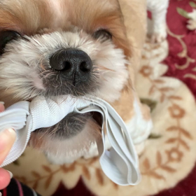 11月7日  夕方までのんびり出来そうです。の画像